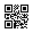 QR CODE 31