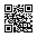 QR CODE 42