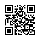 QR CODE 501
