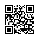 QR CODE 528