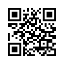 QR CODE 529