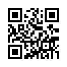 QR CODE 29