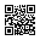 QR CODE 110