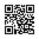 QR CODE 1337