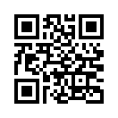 QR CODE 1381