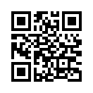 QR CODE 2295