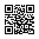 QR CODE 2393