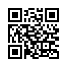 QR CODE 2538