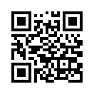 QR CODE 305