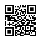 QR CODE 316