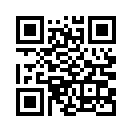 QR CODE 329