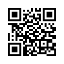 QR CODE 336