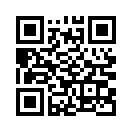 QR CODE 344