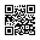 QR CODE 394