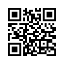 QR CODE 42