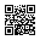 QR CODE 461