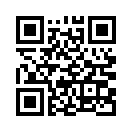 QR CODE 494