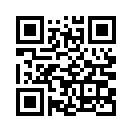 QR CODE 501