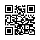 QR CODE 53