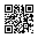 QR CODE 538