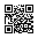 QR CODE 677