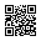 QR CODE 737