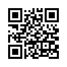 QR CODE 782