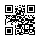 QR CODE 821