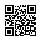 QR CODE 856