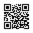 QR CODE 913