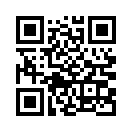 QR CODE 993