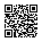QR CODE 16