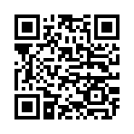 QR CODE 30