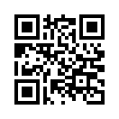 QR CODE 325