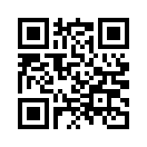 QR CODE 329