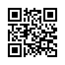 QR CODE 336