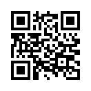 QR CODE 381