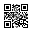 QR CODE 391