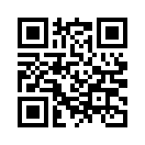 QR CODE 394