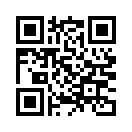 QR CODE 395