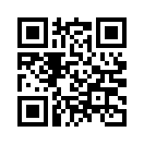 QR CODE 398