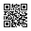 QR CODE 448