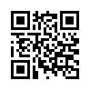 QR CODE 484
