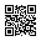 QR CODE 486