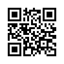 QR CODE 498