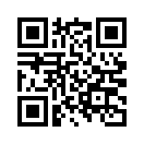 QR CODE 501