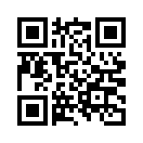 QR CODE 503