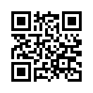 QR CODE 513