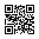 QR CODE 515