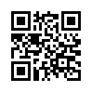 QR CODE 528